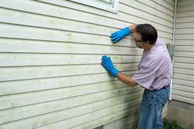 Affordable Siding Repair and Maintenance Services in Bridgeport, MI